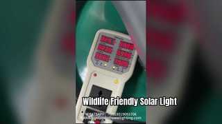 Mastaufsatz-Gartenleuchte 50 W mit hoher Effizienz für den Einsatz in Parks und Straßen.