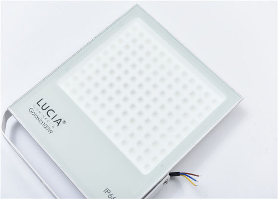 Weißes 120 Volt 100w 130lm/W führte Flut-Lichter im Freien