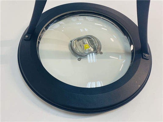 Landschaftsdekorative IP66 Wasserdichte Doppelarm Aluminium Gartenbeleuchtungsanlagen für Wohngebiete